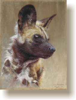 fascination.jpg (88233 bytes)