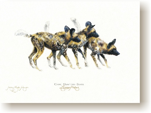 th_cape_hunting_dogs.jpg (52643 bytes)