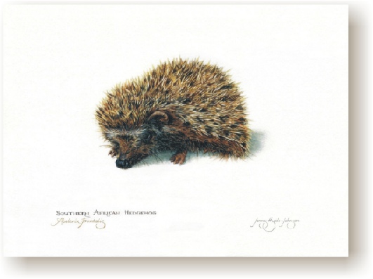 th_hedgehog.jpg (52263 bytes)