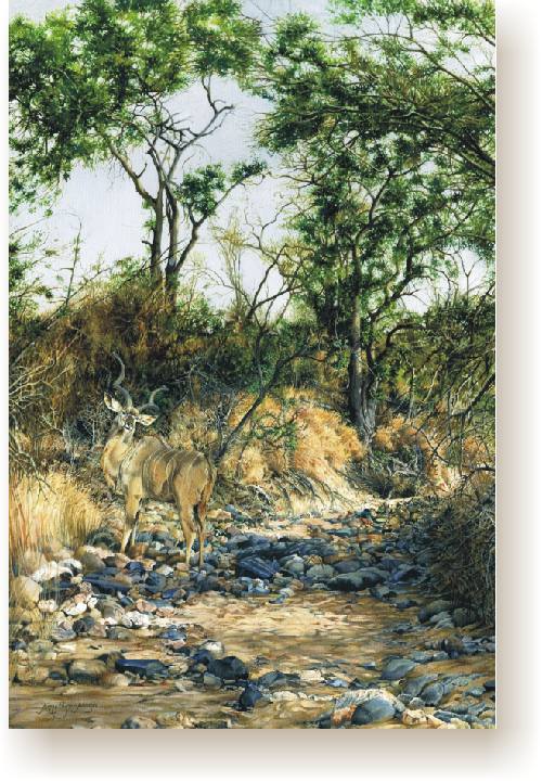 th_kudu_keer_keer.jpg (99728 bytes)