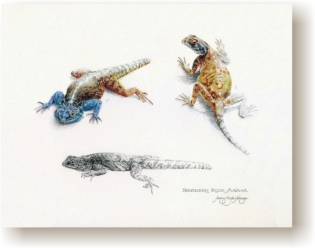 th_rock_agamas.jpg (46887 bytes)