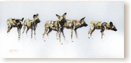 Wild Dog Pack I