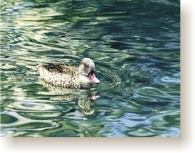 th_cape_teal.jpg (98211 bytes)