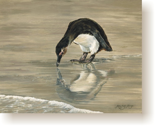 th_imm_african_penguin.jpg (94050 bytes)