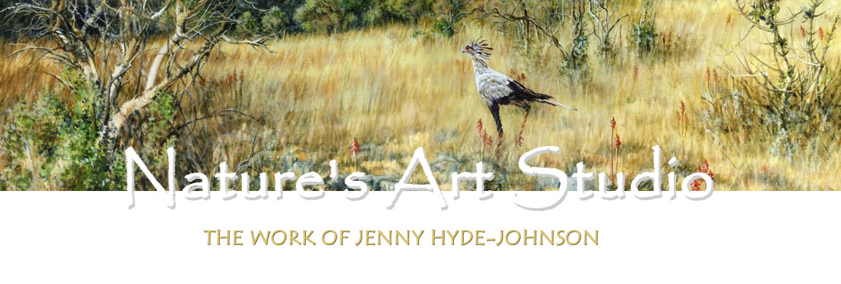 top.jpg (217504 bytes)